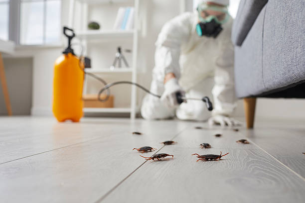 Trusted Cockroach Control service in Royersford, PA - Nex Pest Control