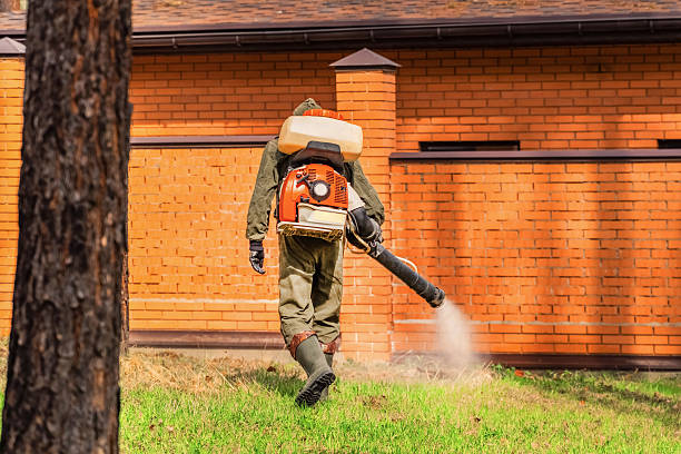 Trusted Emergency Pest Control service in Royersford, PA - Nex Pest Control